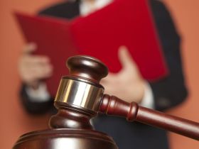 Granice wolności słowa lekarzy – wyrok sądu lekarskiego w sprawie dr. Martyki i dr Gierszewskiej