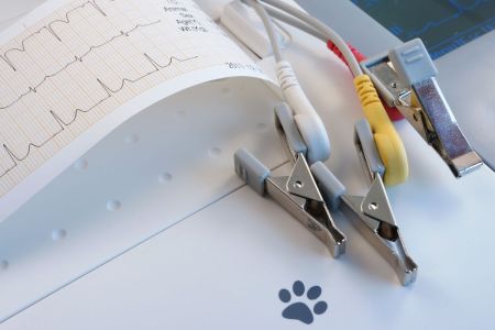 EKG